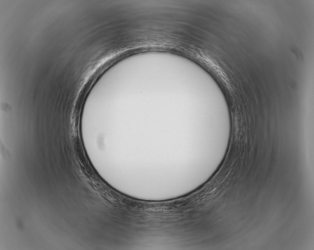 X0000090610628200708071204