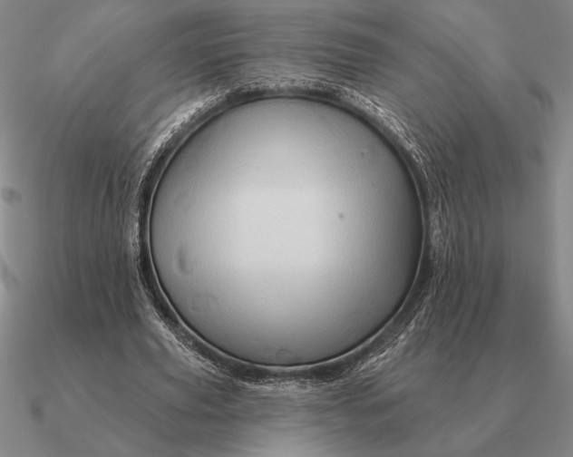 X0000090610629200708071204