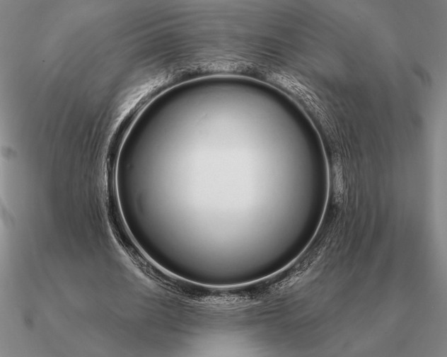 X0000090610630200708071204