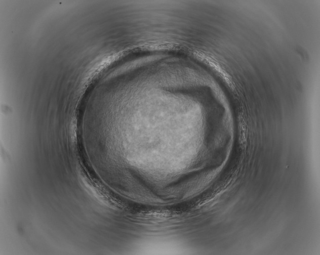 X0000090610631200708071204