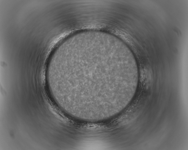 X0000090610632200708071204