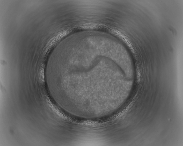 X0000090610633200708071204