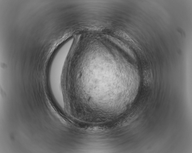 X0000090610634200708071204