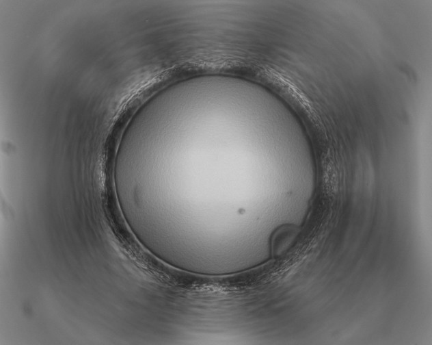 X0000090610635200708071204