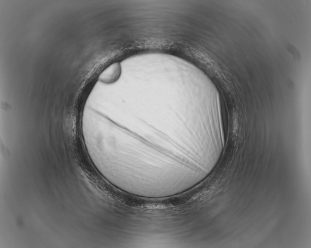 X0000090610636200708071204