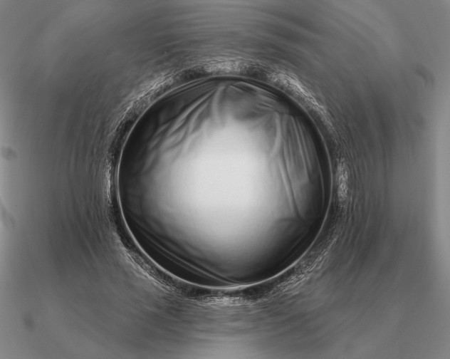 X0000090610637200708071204