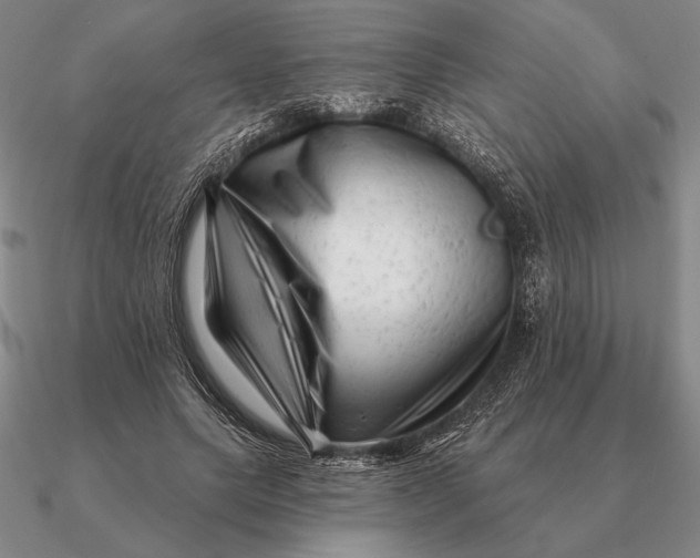 X0000090610639200708071204