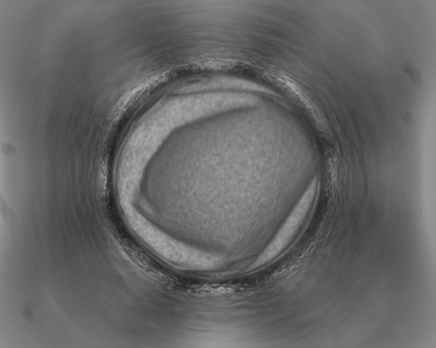 X0000090610640200708071204