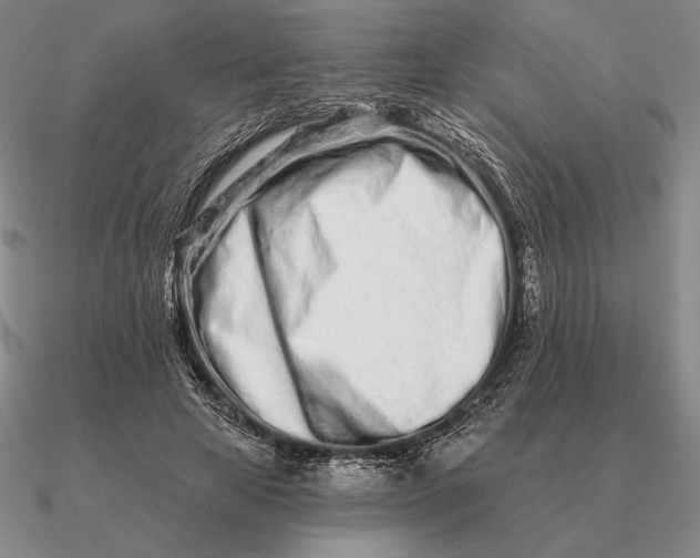 X0000090610641200708071204