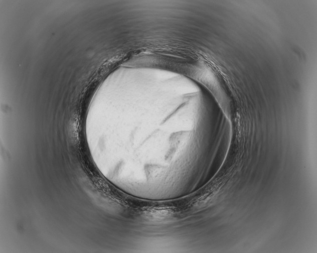 X0000090610643200708071204