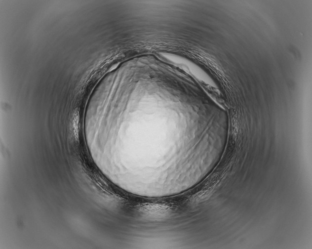 X0000090610644200708071204