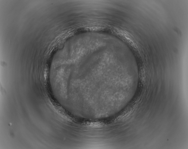 X0000090610645200708071204