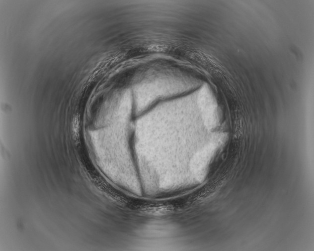 X0000090610646200708071204