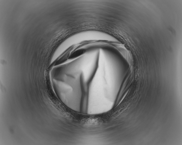 X0000090610647200708071204