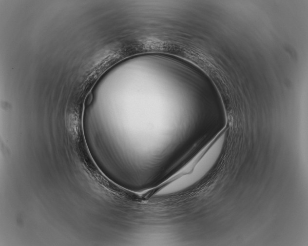 X0000090610648200708071204