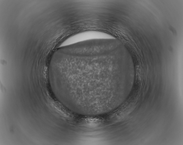 X0000090610650200708071204