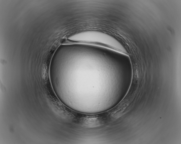 X0000090610651200708071204