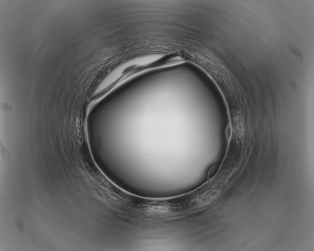 X0000090610653200708071204