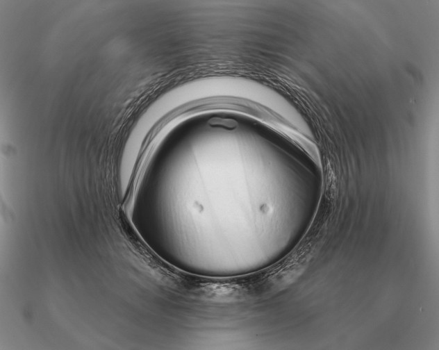 X0000090610654200708071204