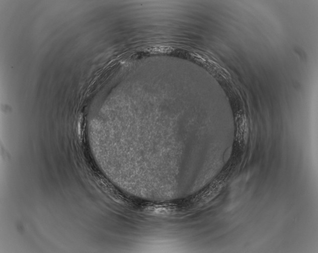 X0000090610655200708071204