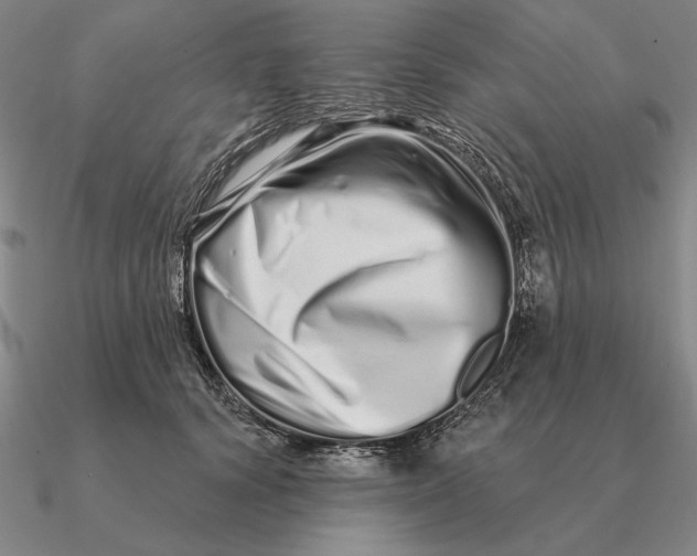 X0000090610656200708071204