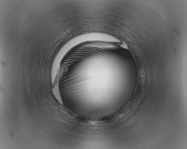 X0000090610657200708071204