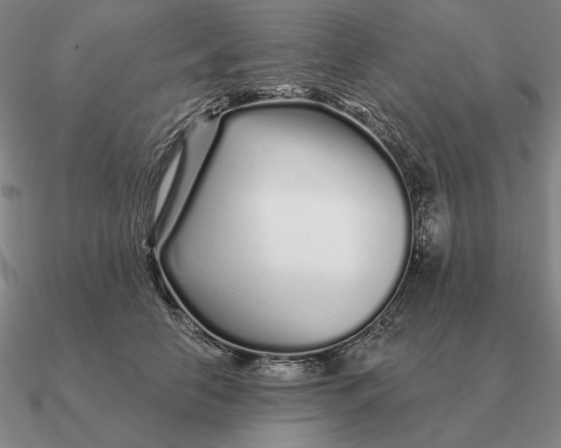 X0000090610658200708071204