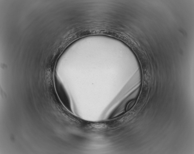 X0000090610659200708071204