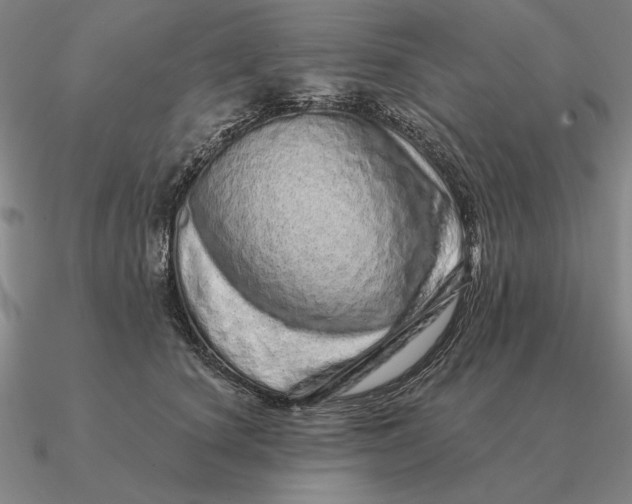 X0000090610660200708071204