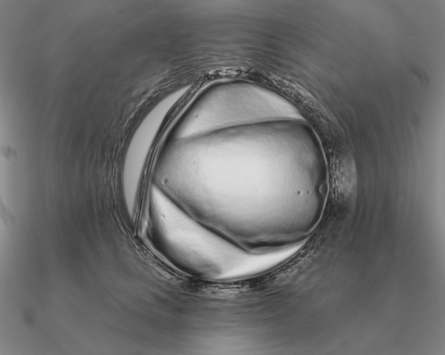 X0000090610661200708071204