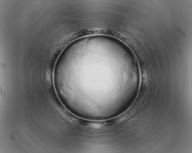 X0000090610662200708071204