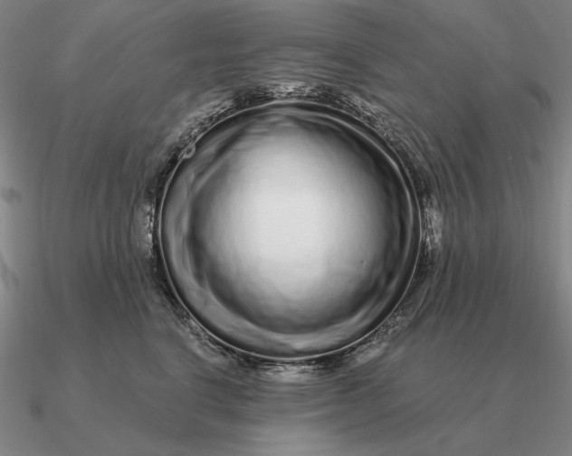 X0000090610664200708071204