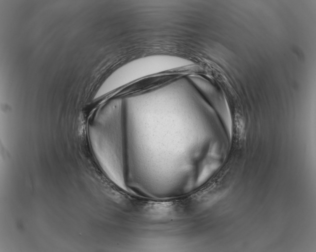 X0000090610665200708071204