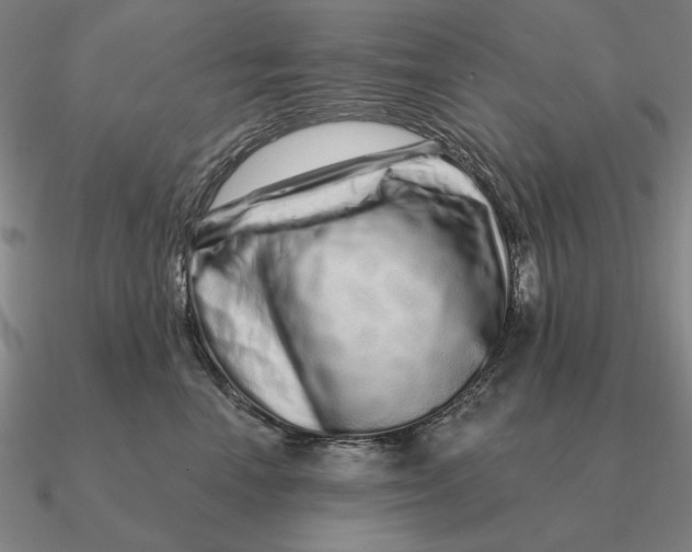 X0000090610666200708071204