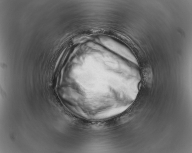 X0000090610667200708071204