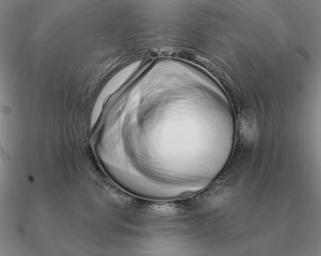 X0000090610668200708071204