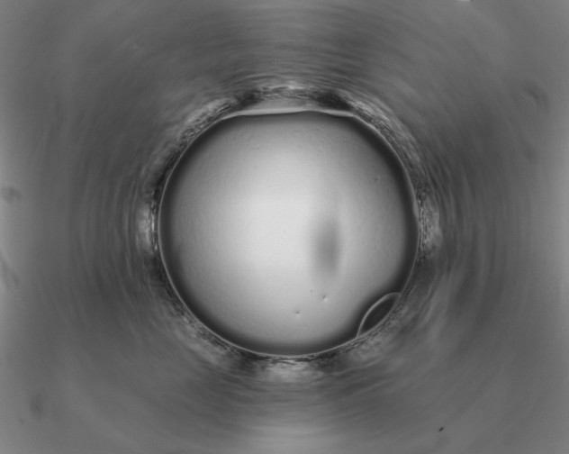 X0000090610669200708071204