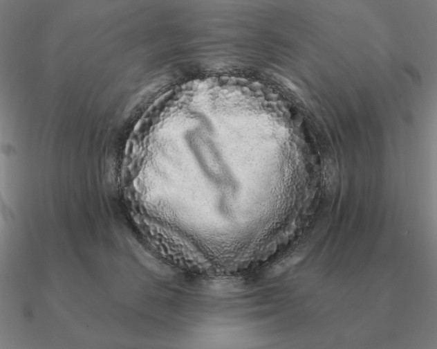 X0000090610670200708071204