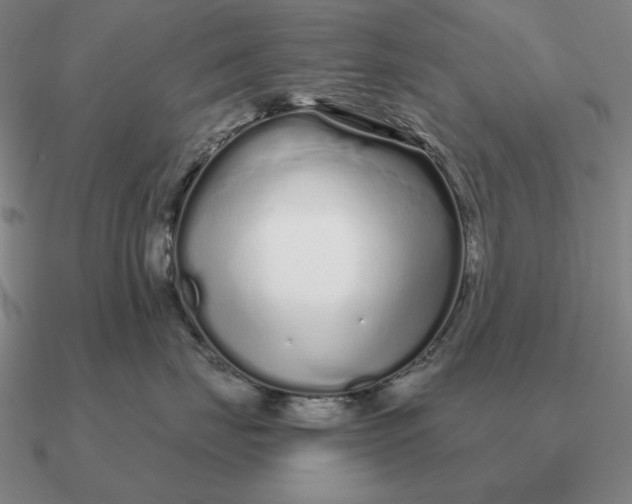 X0000090610671200708071204