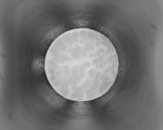 X0000090610672200708071204