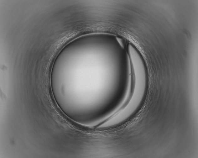 X0000090610673200708071204