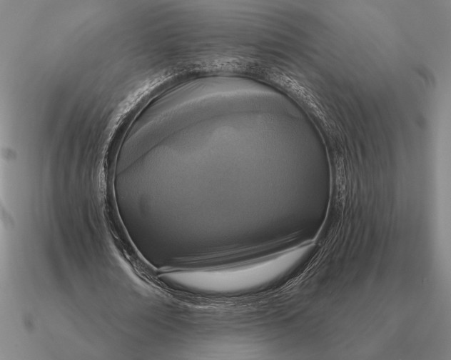 X0000090610674200708071204