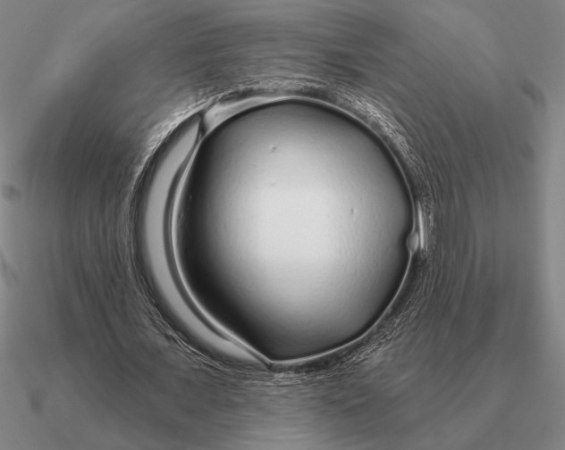 X0000090610675200708071204