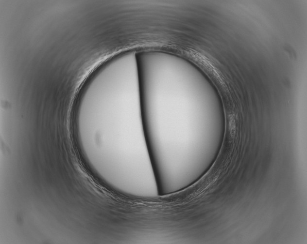 X0000090610676200708071204