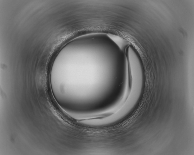 X0000090610677200708071204