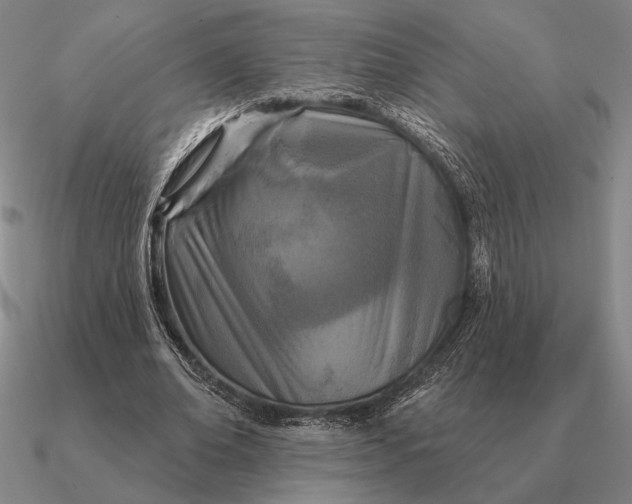 X0000090610678200708071204