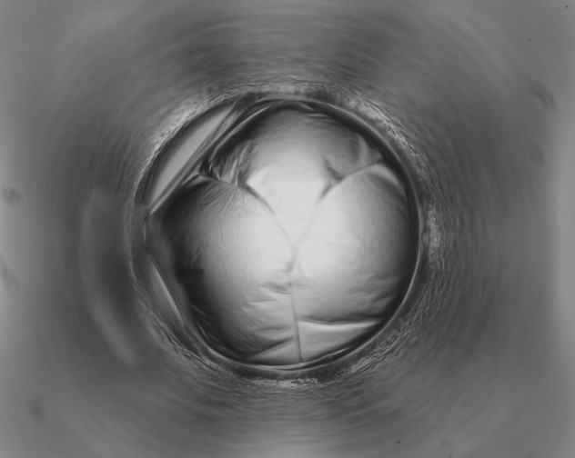 X0000090610679200708071204