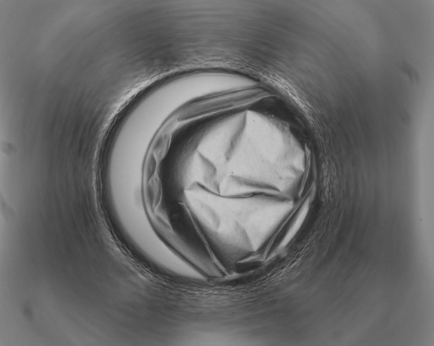 X0000090610680200708071204