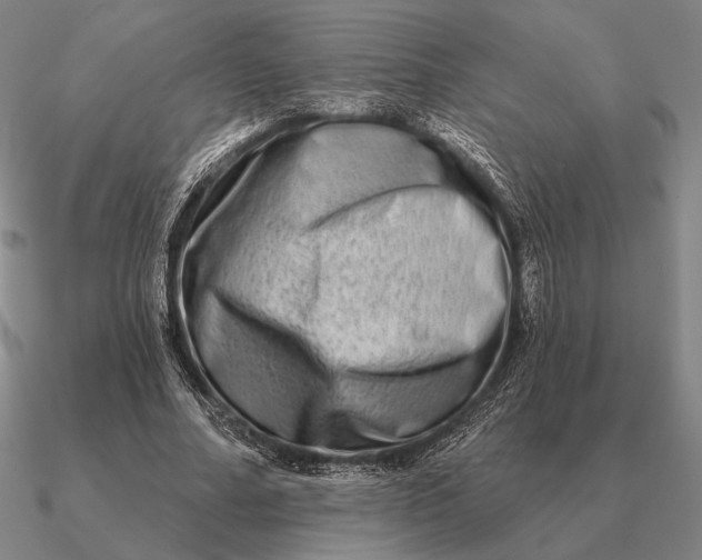 X0000090610682200708071204