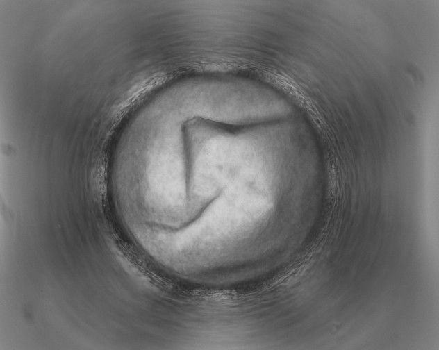 X0000090610683200708071204